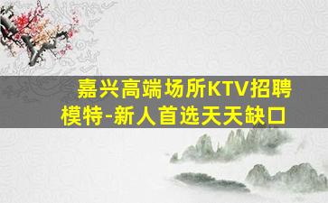 嘉兴高端场所KTV招聘模特-新人首选天天缺口